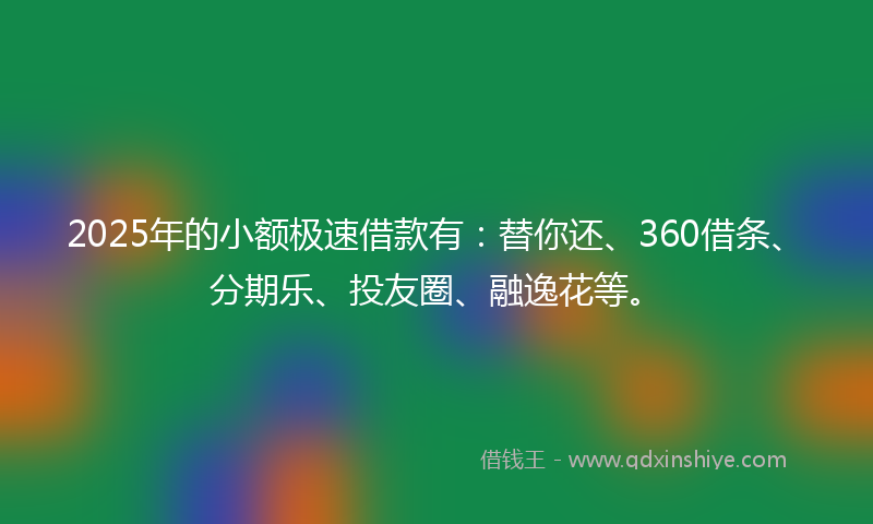 2025年的小额极速借款有：替你还、360借条、分期乐、投友圈、融逸花等。