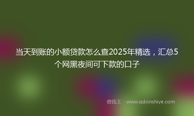 当天到账的小额贷款怎么查2025年精选，汇总5个网黑夜间可下款的口子