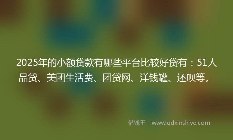 2025年的小额贷款有哪些平台比较好贷有：51人品贷、美团生活费、团贷网、洋钱罐、还呗等。