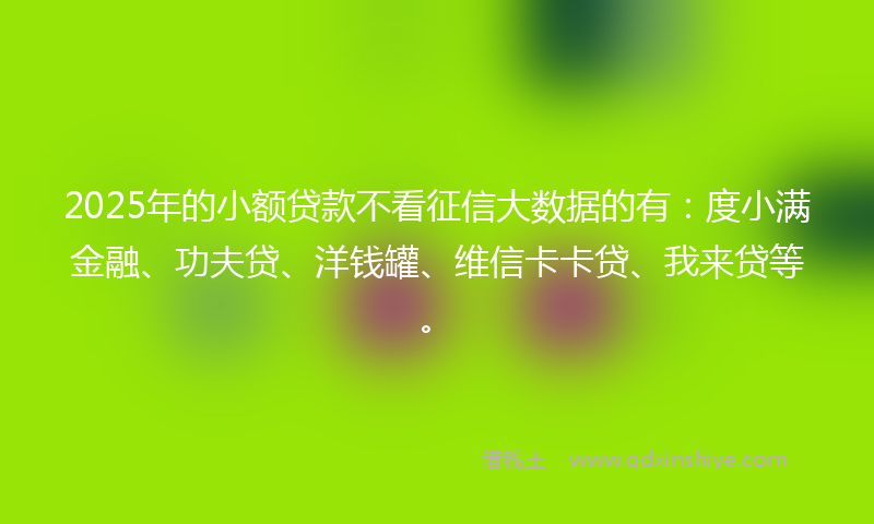 2025年的小额贷款不看征信大数据的有：度小满金融、功夫贷、洋钱罐、维信卡卡贷、我来贷等。