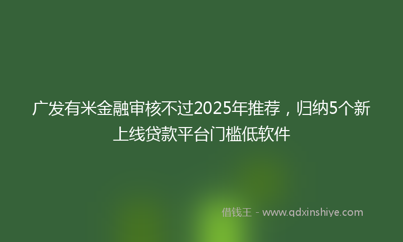 广发有米金融审核不过2025年推荐，归纳5个新上线贷款平台门槛低软件