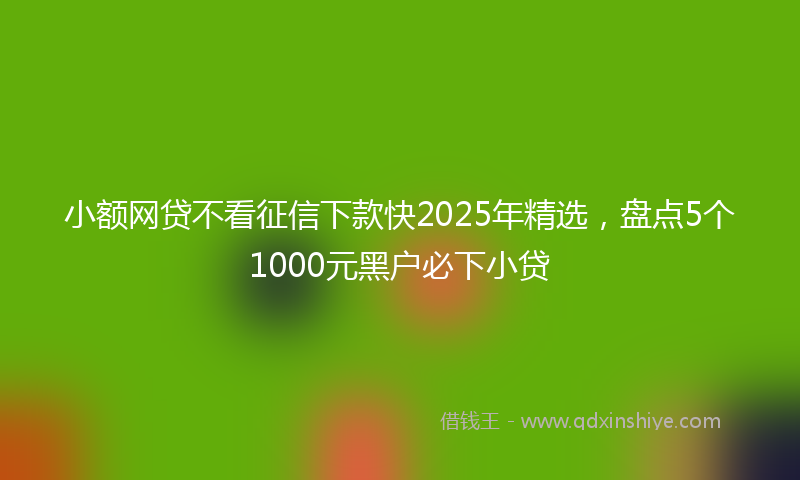小额网贷不看征信下款快2025年精选，盘点5个1000元黑户必下小贷