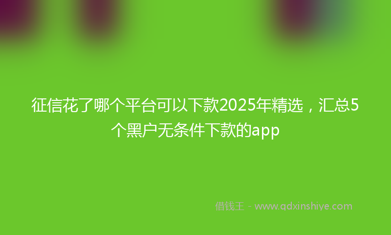 征信花了哪个平台可以下款2025年精选，汇总5个黑户无条件下款的app
