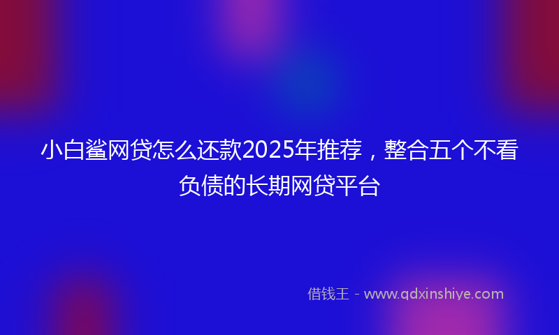小白鲨网贷怎么还款2025年推荐，整合五个不看负债的长期网贷平台
