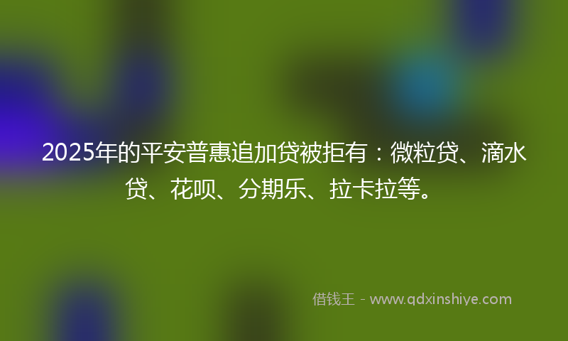 2025年的平安普惠追加贷被拒有：微粒贷、滴水贷、花呗、分期乐、拉卡拉等。