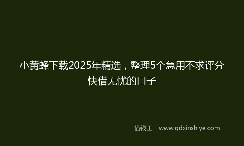 小黄蜂下载2025年精选，整理5个急用不求评分快借无忧的口子
