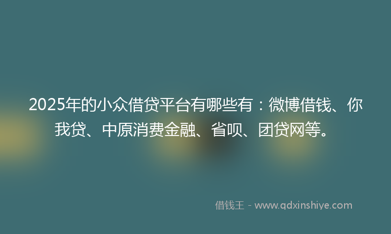 2025年的小众借贷平台有哪些有：微博借钱、你我贷、中原消费金融、省呗、团贷网等。