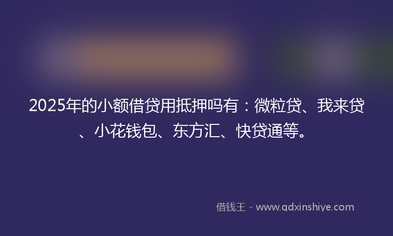 2025年的小额借贷用抵押吗有：微粒贷、我来贷、小花钱包、东方汇、快贷通等。