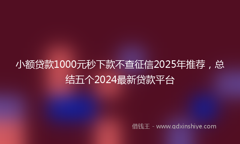 小额贷款1000元秒下款不查征信2025年推荐，总结五个2024最新贷款平台