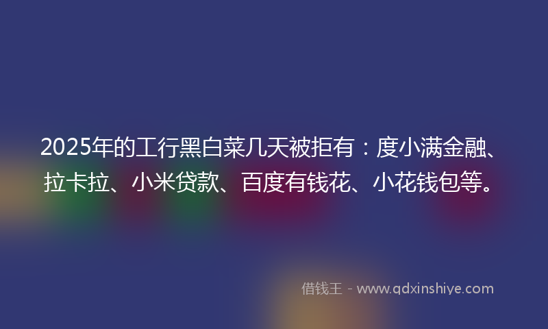 2025年的工行黑白菜几天被拒有：度小满金融、拉卡拉、小米贷款、百度有钱花、小花钱包等。