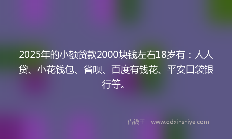 2025年的小额贷款2000块钱左右18岁有：人人贷、小花钱包、省呗、百度有钱花、平安口袋银行等。