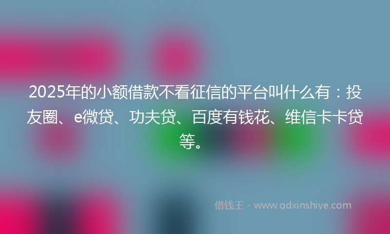 2025年的小额借款不看征信的平台叫什么有：投友圈、e微贷、功夫贷、百度有钱花、维信卡卡贷等。