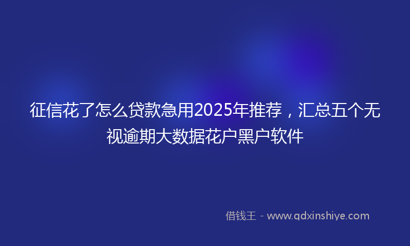 征信花了怎么贷款急用2025年推荐，汇总五个无视逾期大数据花户黑户软件