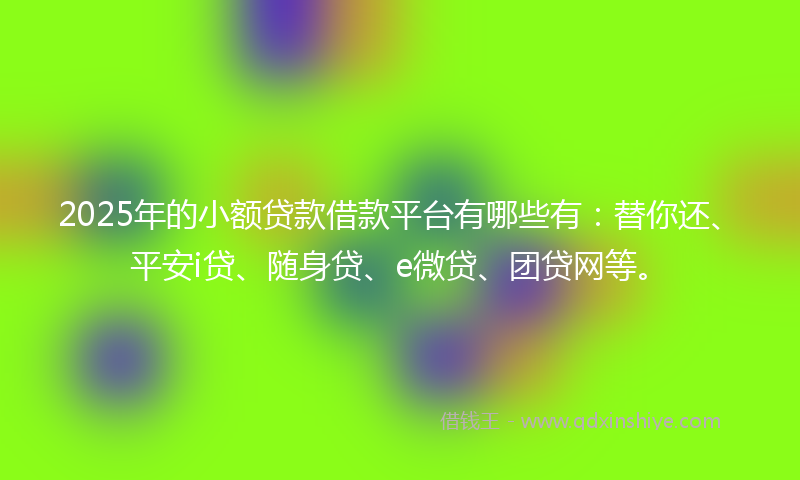 2025年的小额贷款借款平台有哪些有：替你还、平安i贷、随身贷、e微贷、团贷网等。