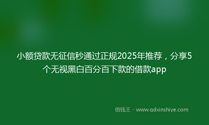 小额贷款无征信秒通过正规2025年推荐，分享5个无视黑白百分百下款的借款app