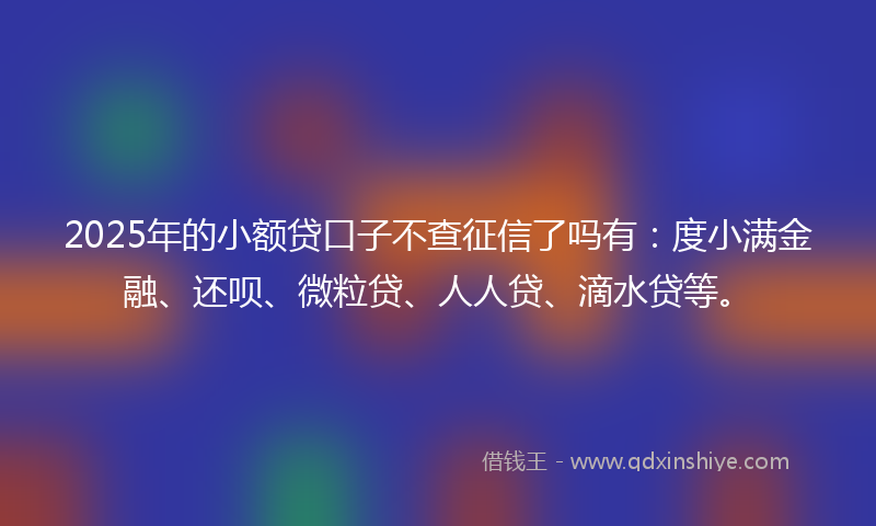 2025年的小额贷口子不查征信了吗有：度小满金融、还呗、微粒贷、人人贷、滴水贷等。