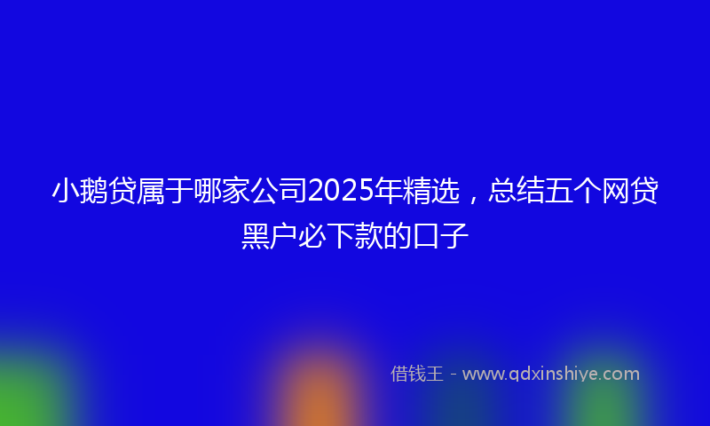 小鹅贷属于哪家公司2025年精选，总结五个网贷黑户必下款的口子