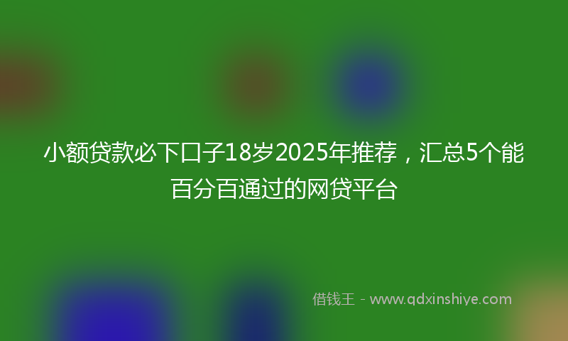 小额贷款必下口子18岁2025年推荐，汇总5个能百分百通过的网贷平台