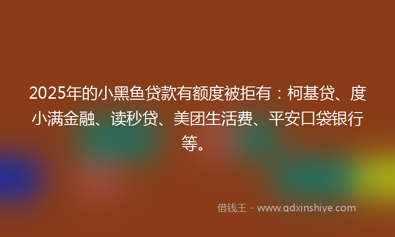2025年的小黑鱼贷款有额度被拒有：柯基贷、度小满金融、读秒贷、美团生活费、平安口袋银行等。