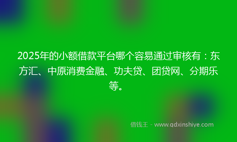 2025年的小额借款平台哪个容易通过审核有：东方汇、中原消费金融、功夫贷、团贷网、分期乐等。
