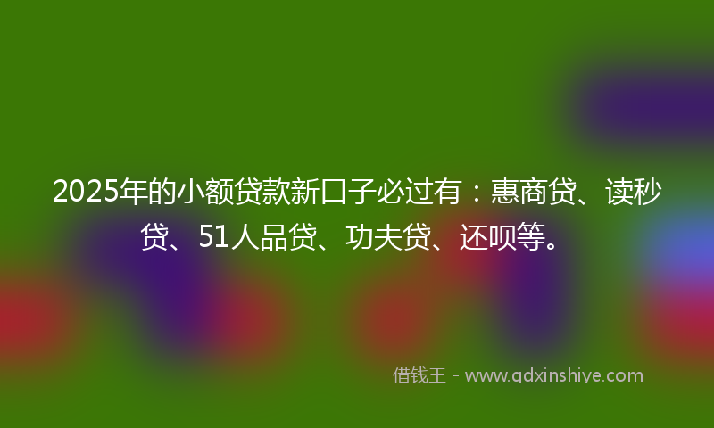 2025年的小额贷款新口子必过有：惠商贷、读秒贷、51人品贷、功夫贷、还呗等。