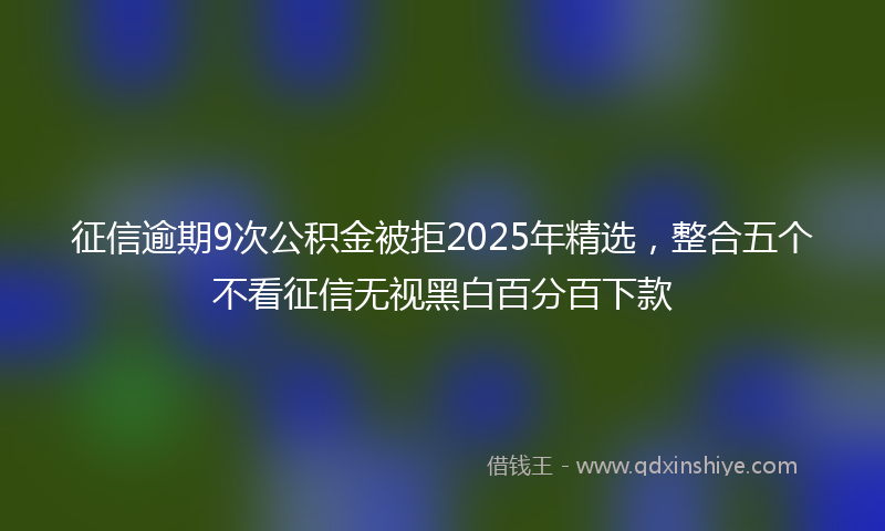 征信逾期9次公积金被拒2025年精选，整合五个不看征信无视黑白百分百下款