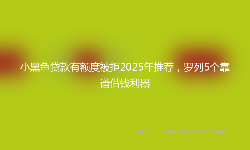 小黑鱼贷款有额度被拒2025年推荐，罗列5个靠谱借钱利器