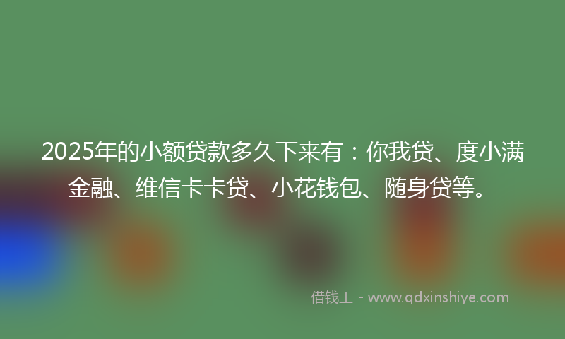 2025年的小额贷款多久下来有：你我贷、度小满金融、维信卡卡贷、小花钱包、随身贷等。
