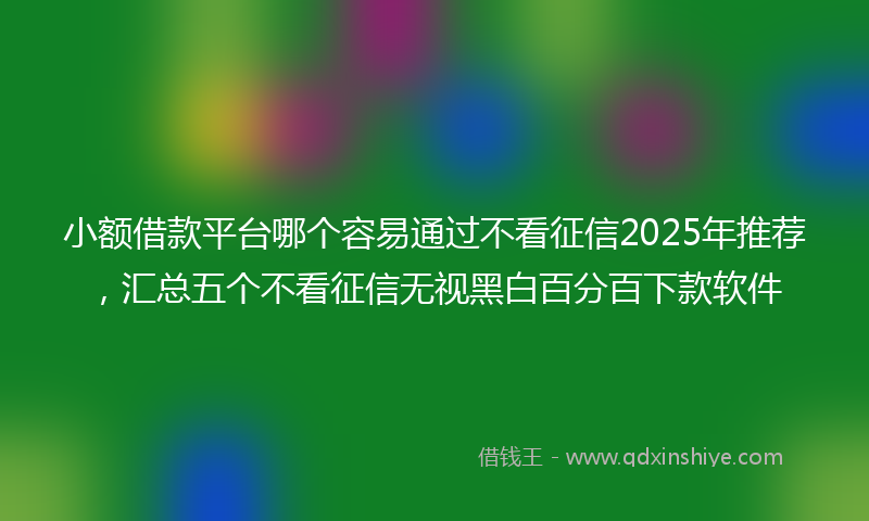 小额借款平台哪个容易通过不看征信2025年推荐，汇总五个不看征信无视黑白百分百下款软件