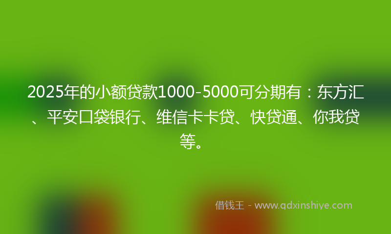 2025年的小额贷款1000-5000可分期有：东方汇、平安口袋银行、维信卡卡贷、快贷通、你我贷等。