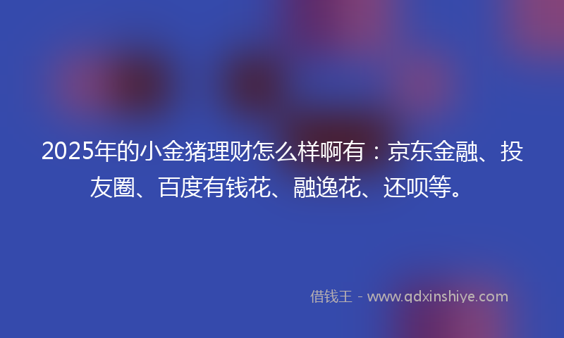 2025年的小金猪理财怎么样啊有：京东金融、投友圈、百度有钱花、融逸花、还呗等。