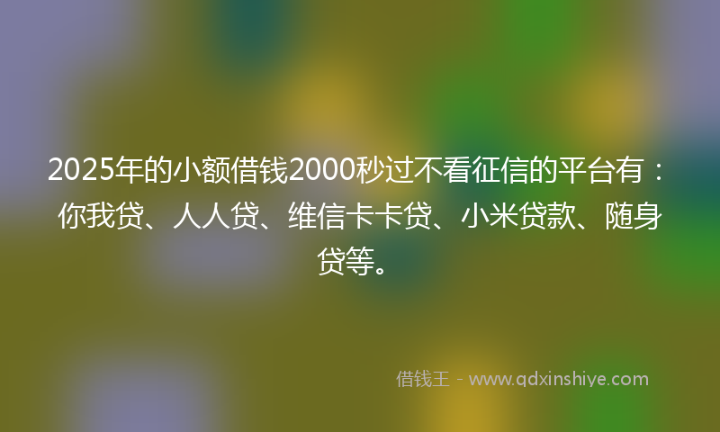 2025年的小额借钱2000秒过不看征信的平台有：你我贷、人人贷、维信卡卡贷、小米贷款、随身贷等。