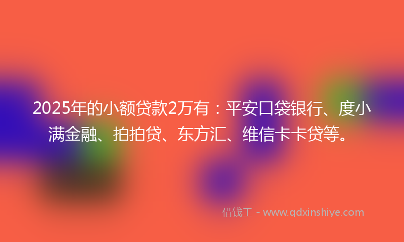 2025年的小额贷款2万有：平安口袋银行、度小满金融、拍拍贷、东方汇、维信卡卡贷等。