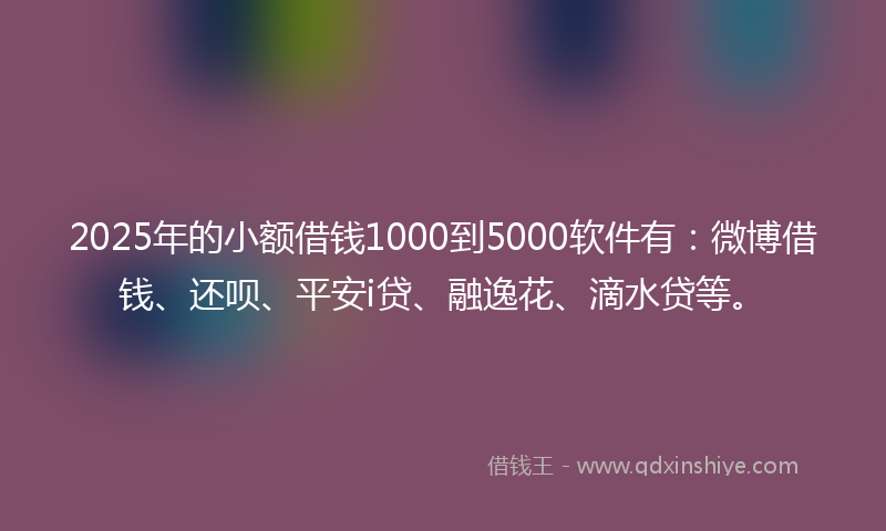 2025年的小额借钱1000到5000软件有：微博借钱、还呗、平安i贷、融逸花、滴水贷等。