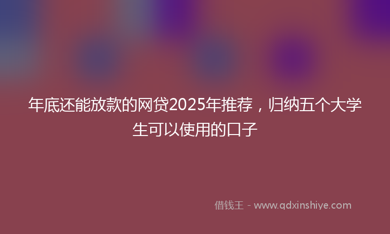 年底还能放款的网贷2025年推荐，归纳五个大学生可以使用的口子