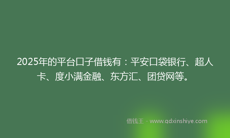 2025年的平台口子借钱有：平安口袋银行、超人卡、度小满金融、东方汇、团贷网等。