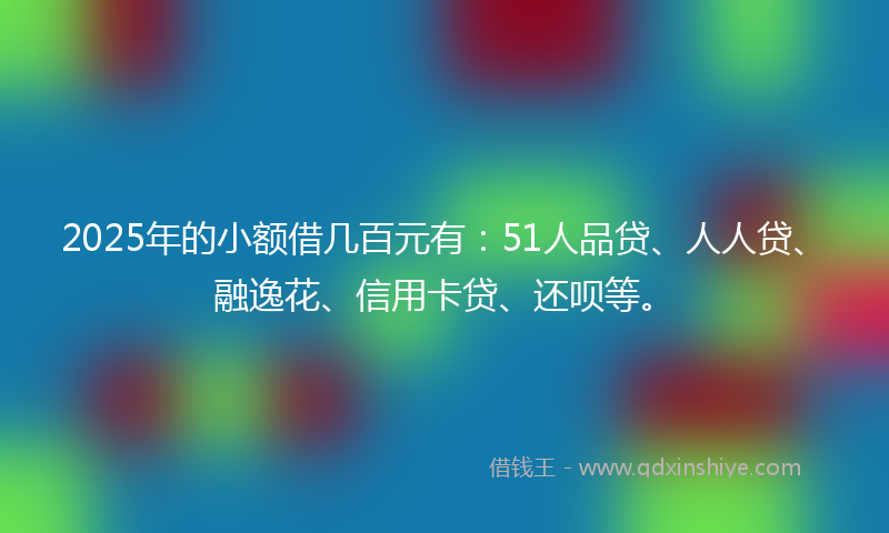 2025年的小额借几百元有：51人品贷、人人贷、融逸花、信用卡贷、还呗等。