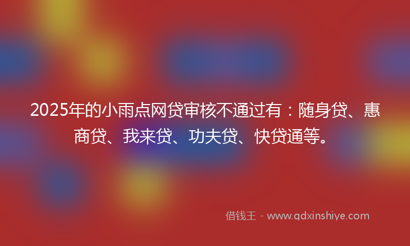 2025年的小雨点网贷审核不通过有：随身贷、惠商贷、我来贷、功夫贷、快贷通等。