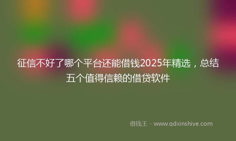 征信不好了哪个平台还能借钱2025年精选，总结五个值得信赖的借贷软件