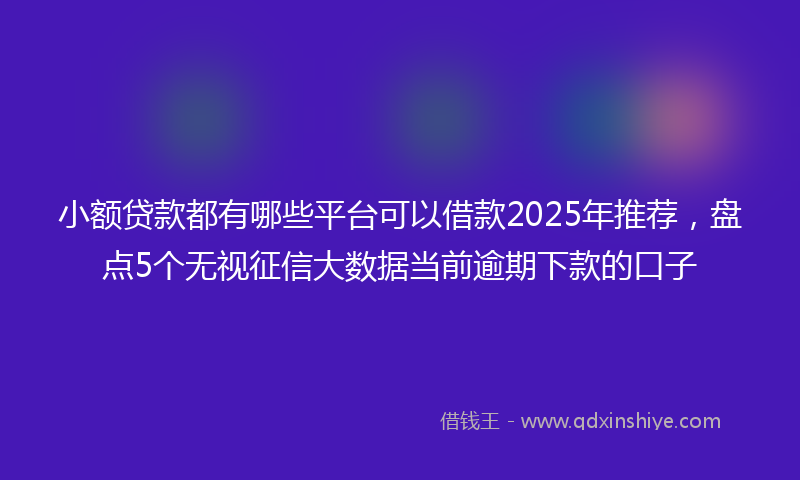 小额贷款都有哪些平台可以借款2025年推荐，盘点5个无视征信大数据当前逾期下款的口子