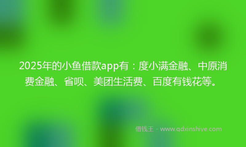 2025年的小鱼借款app有：度小满金融、中原消费金融、省呗、美团生活费、百度有钱花等。
