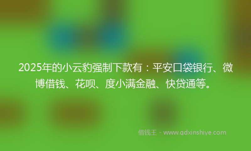 2025年的小云豹强制下款有：平安口袋银行、微博借钱、花呗、度小满金融、快贷通等。