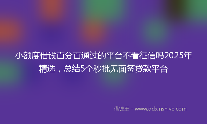 小额度借钱百分百通过的平台不看征信吗2025年精选，总结5个秒批无面签贷款平台