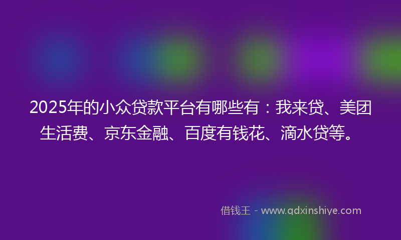 2025年的小众贷款平台有哪些有：我来贷、美团生活费、京东金融、百度有钱花、滴水贷等。
