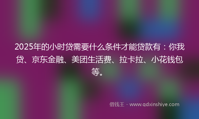 2025年的小时贷需要什么条件才能贷款有：你我贷、京东金融、美团生活费、拉卡拉、小花钱包等。