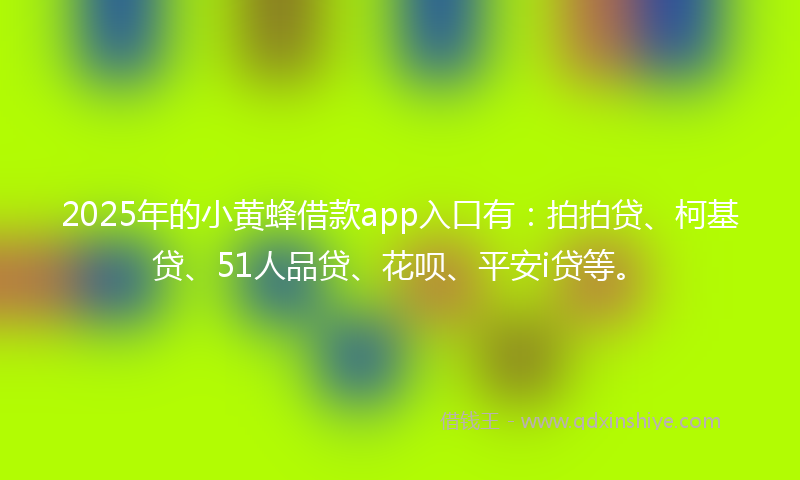 2025年的小黄蜂借款app入口有：拍拍贷、柯基贷、51人品贷、花呗、平安i贷等。
