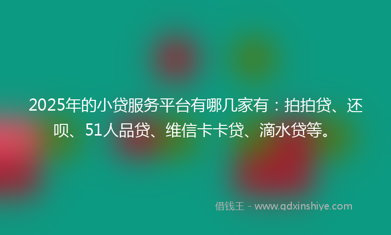 2025年的小贷服务平台有哪几家有：拍拍贷、还呗、51人品贷、维信卡卡贷、滴水贷等。