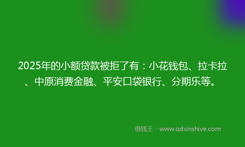 2025年的小额贷款被拒了有：小花钱包、拉卡拉、中原消费金融、平安口袋银行、分期乐等。