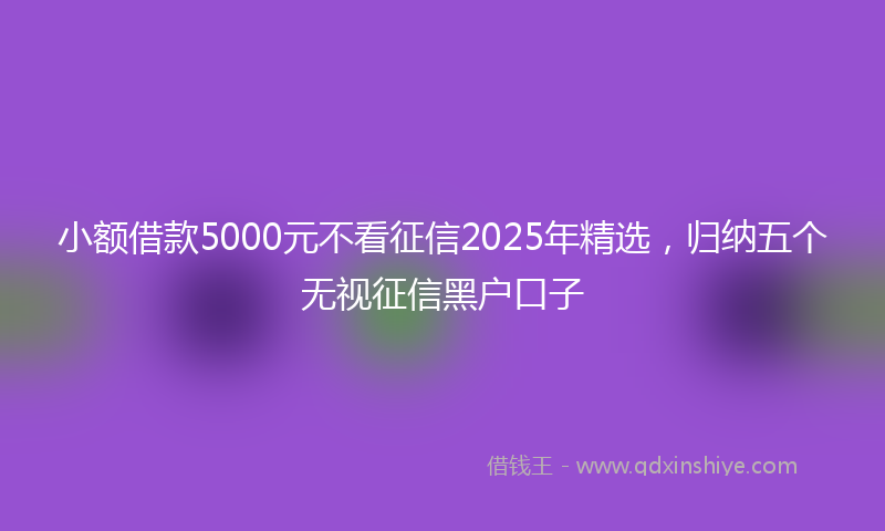 小额借款5000元不看征信2025年精选，归纳五个无视征信黑户口子