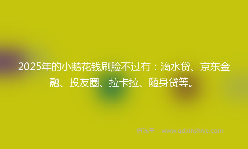 2025年的小鹅花钱刷脸不过有：滴水贷、京东金融、投友圈、拉卡拉、随身贷等。